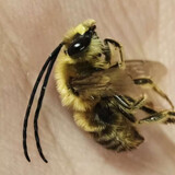 juebukeyi