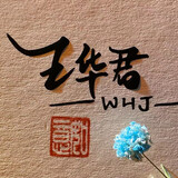 zuiqiangrenjiadingzihu