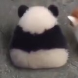 cost_rxuejianjideren