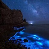 wyonlyblue