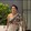 Siva Kumar_2283