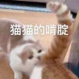iooong