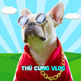 Thú Cưng Vlog