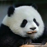 yeshengjiaomushiren