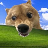 boqideyinjing1