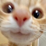 evelyn_p1