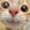 evelyn_p1