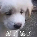 gougouquannifangxia