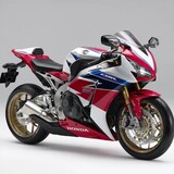 Primordial-Black1000