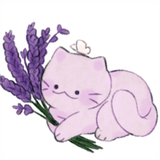 LavenderKitty_