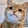 kucing lucu99