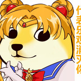 zhangkongniaojin_