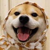 linjiaaqi