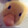 _____ieee