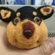 creator avatar