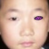 beijidashayu