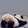 panda-dada