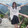 xiaolubiepao