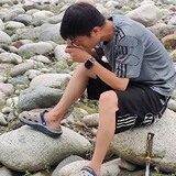 danzaidaodetaoshu