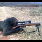 SNIPER_MONKEY