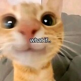 bili_1409127008