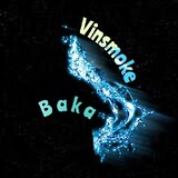 vinsmoke_baka