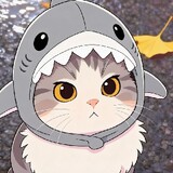 bili_1780664843