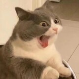 chaji___w