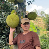 ahaixiangcun