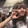 xiny1bb_