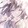 icewind__
