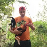 Niludhan Backyard Br