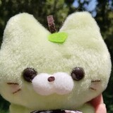 mideruyixiaolangjun