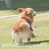 kaishilema