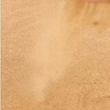 banditocarly_02