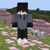 mc-hhe