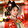 cona_cherry