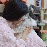 yinglaolaodexiaohao