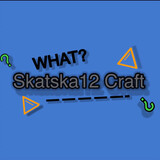Skatska12 Craft
