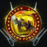 Golden Apple gamefow