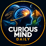 Curious Mind 12