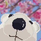 shiyiguandoub___iang