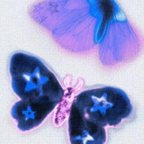 ____erfly0277
