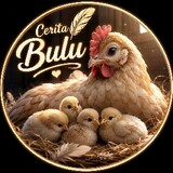 Cerita Bulu