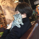 jinpaijiangshibanban