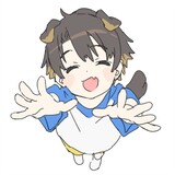 luohuabujiniansui