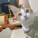 mdwloqorj