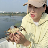 xieyifangd___ie