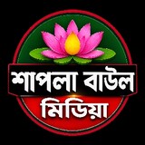 Shapla media