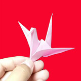 xiaoxiongzhezhi